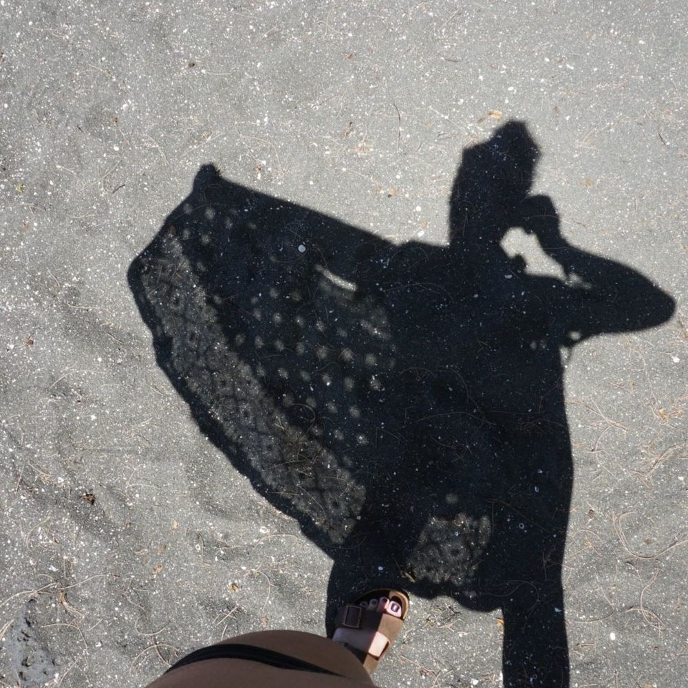 Meet your Posher, Sharissa